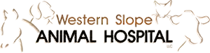 Western Slope Animal Hospital