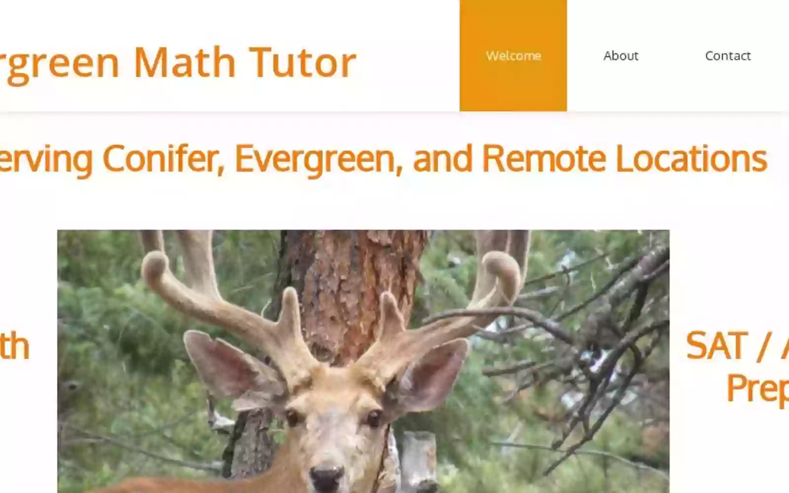 Evergreen Math Tutor