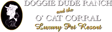 Doggie Dude Ranch and the O'Cat Corral