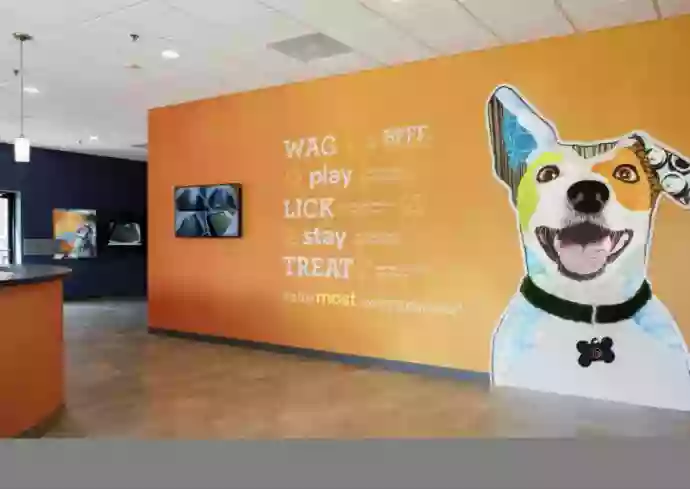 Dogtopia of Denver Tech Center