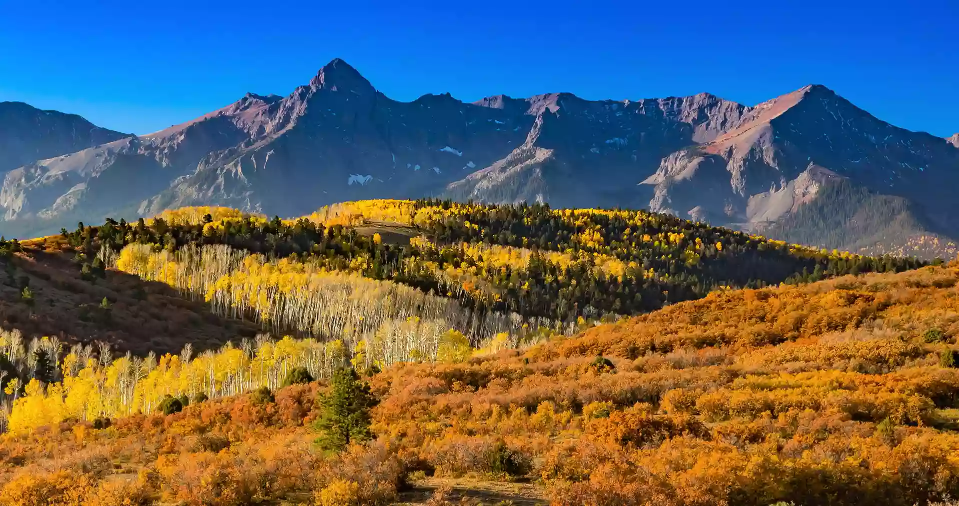 Colorado Therapy & Assessment Center