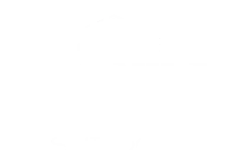 Ivywild School