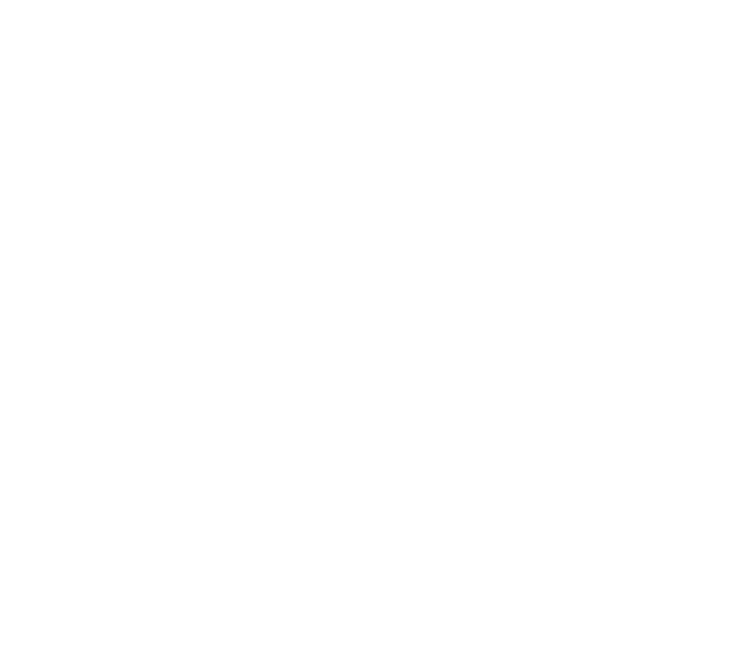 Dancing Bull Wealth Management