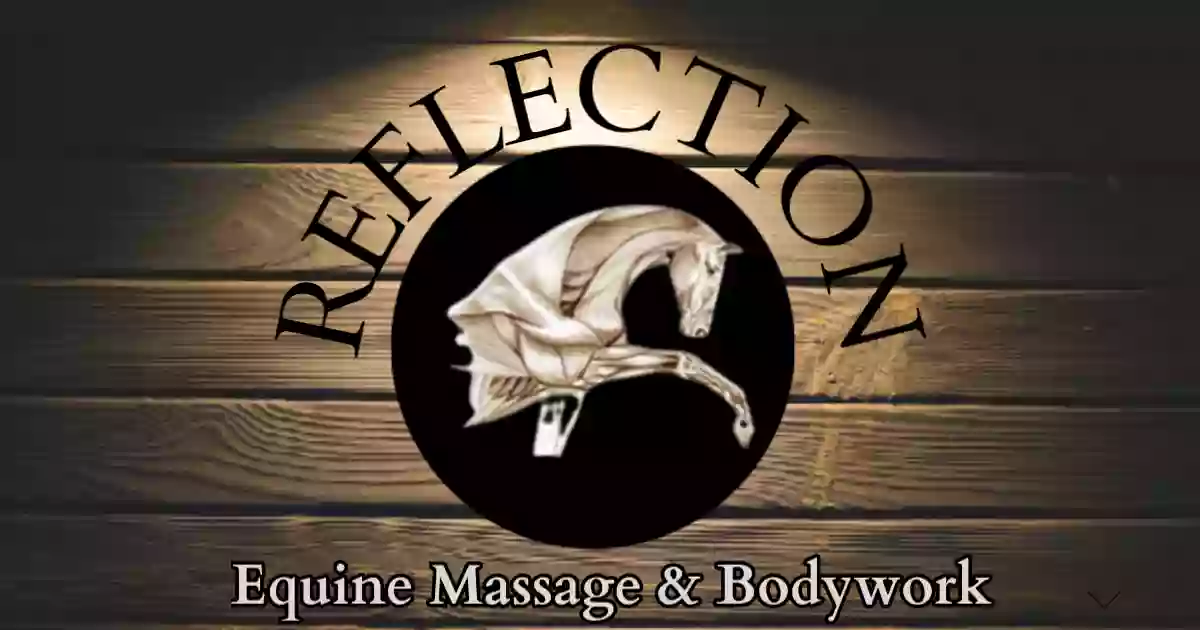 Reflection Equine Massage & Bodywork