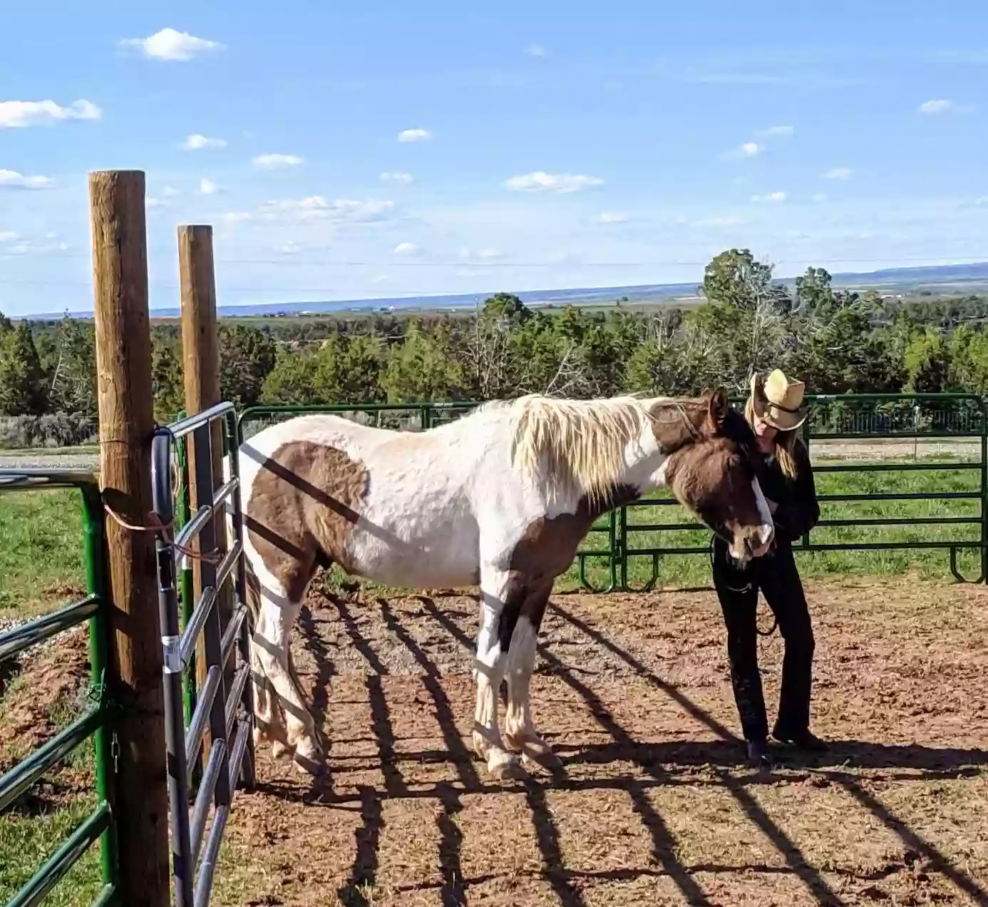 Grace Reins Equine Therapy