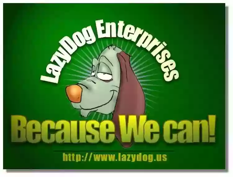 LAZY DOG ENTERPRISES LLC