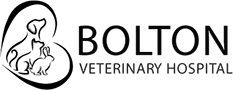 Bolton Veterinary Hospital: Tulman Michael DVM