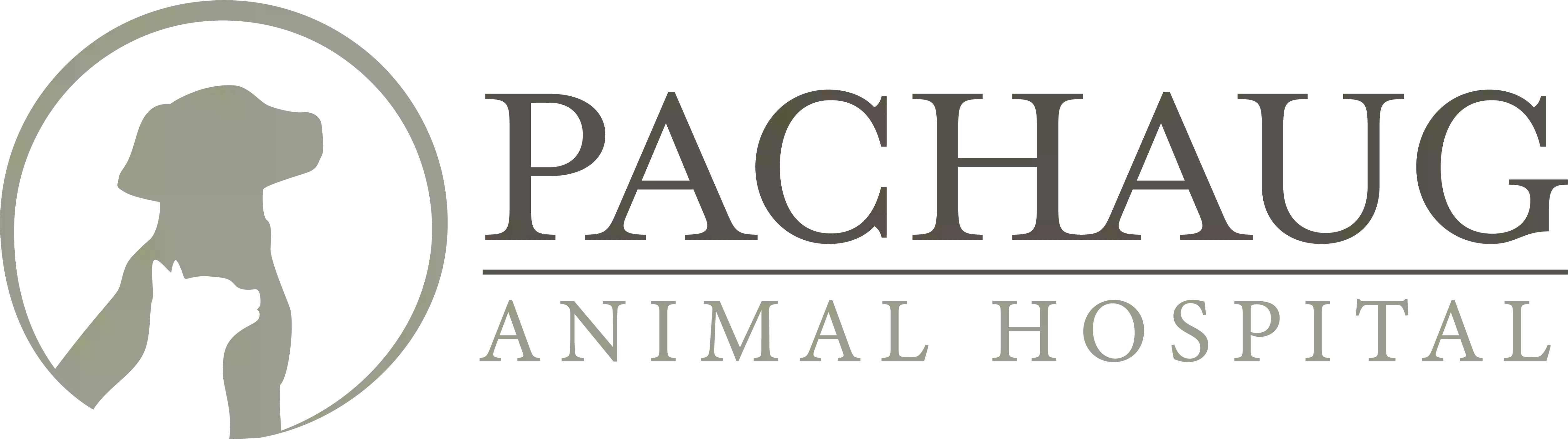 Pachaug Animal Hospital