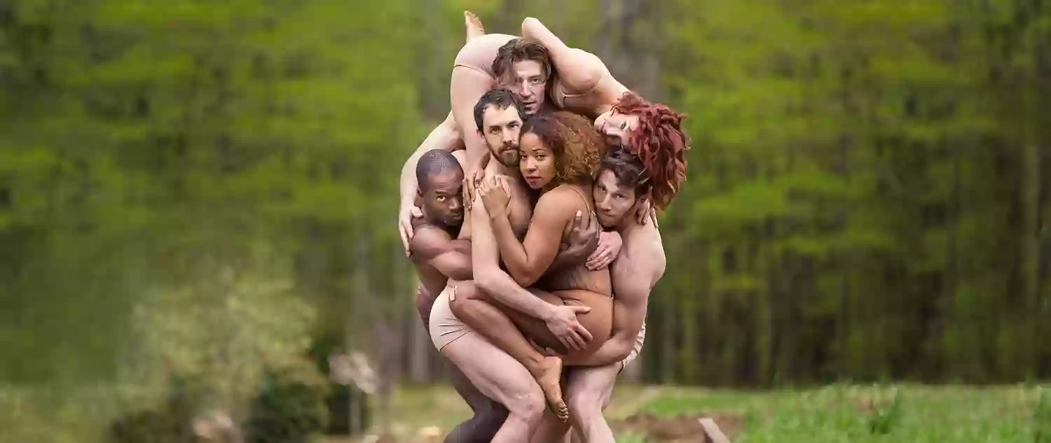 Pilobolus