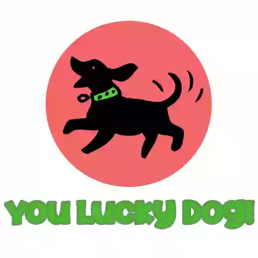 You Lucky Dog