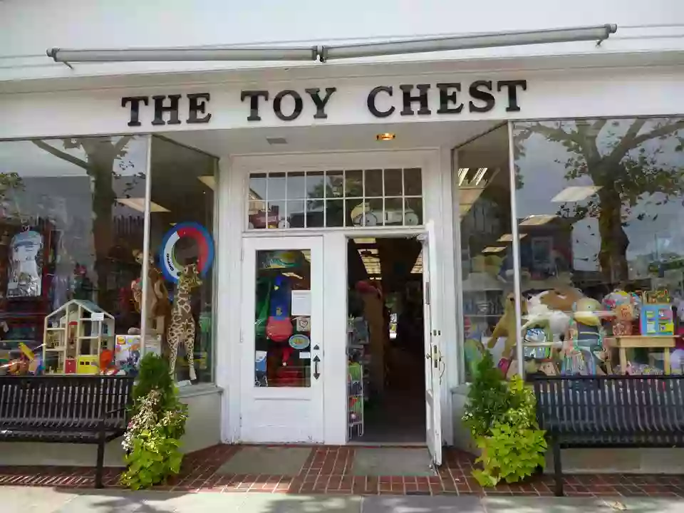 Toy Chest