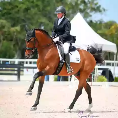 ELC Dressage