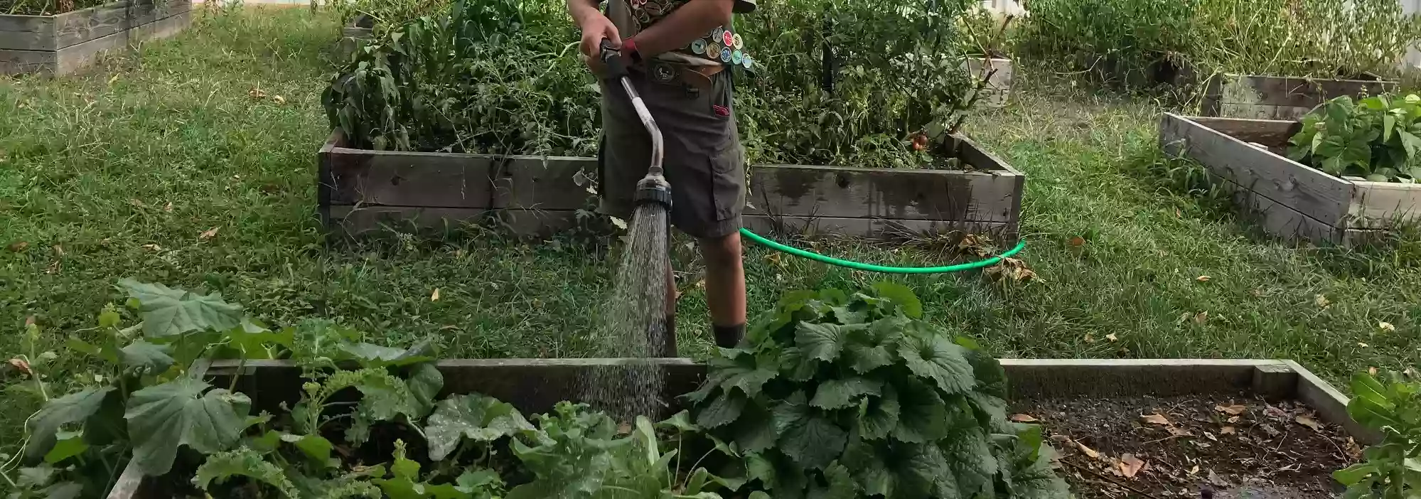 Derby Community Garden at Irving School