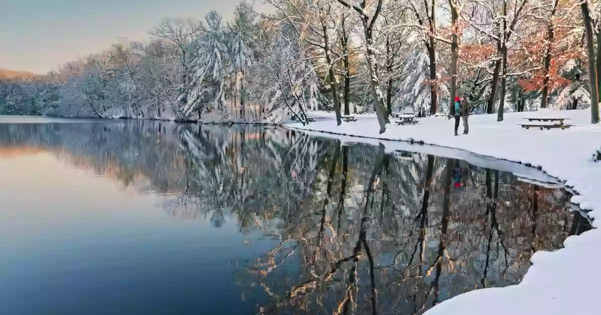 Wharton Brook State Park