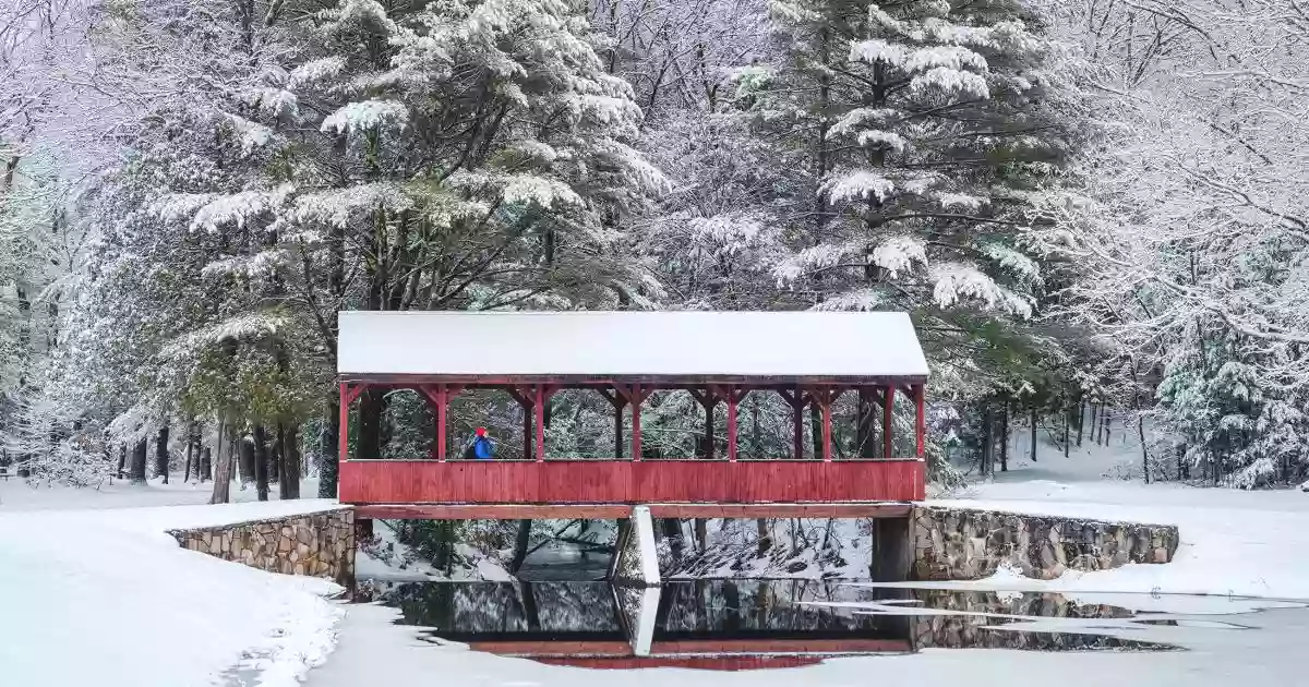 Stratton Brook State Park