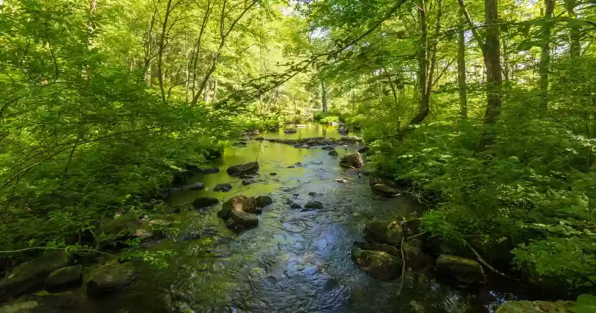 Gay City State Park