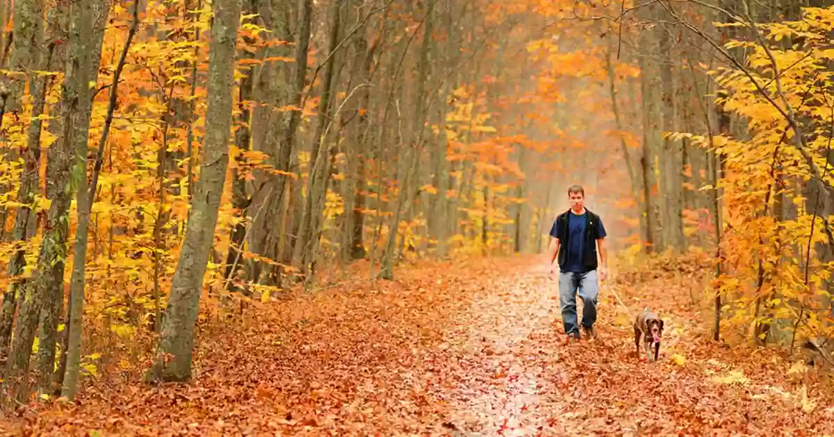 Air Line South State Park Trail - East Hampton