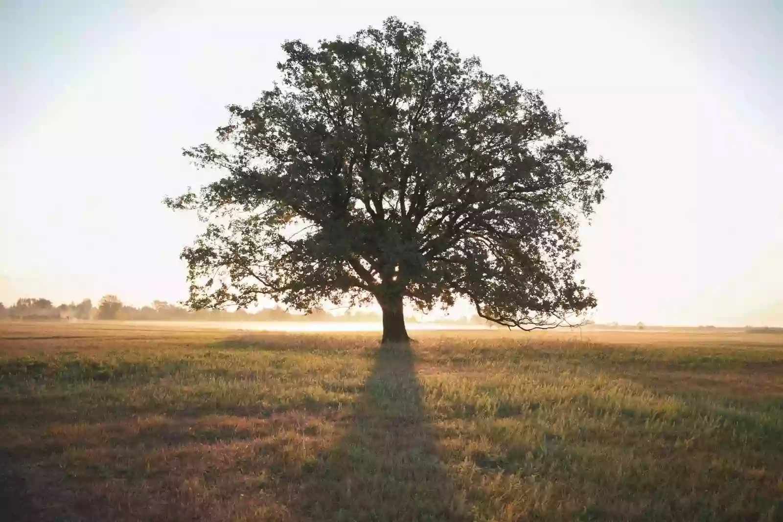 Western Connecticut Counseling