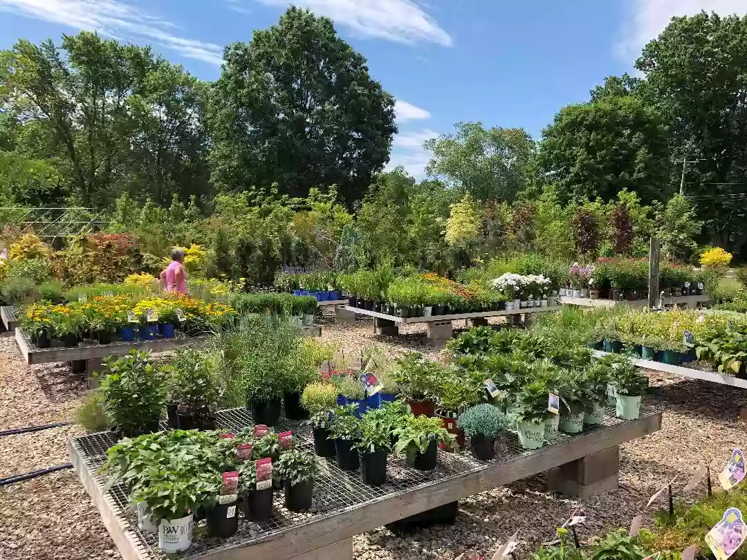 Sprucedale Gardens Greenhouse & Nursery