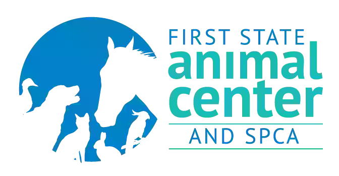 First State Veterinary Clinic