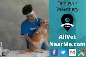 All Creatures Veterinary Service