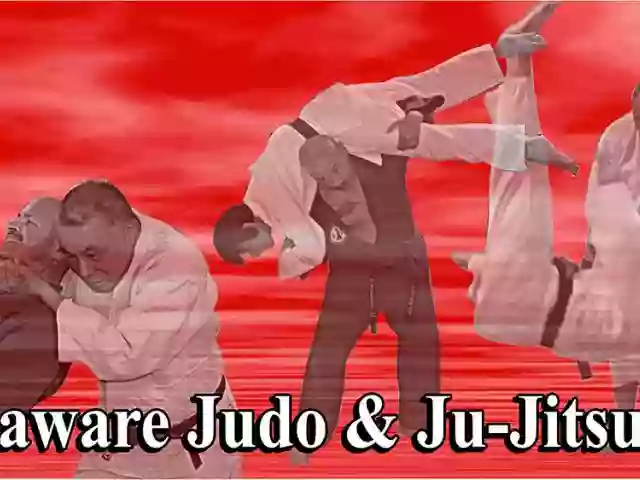 Delaware Judo and JuJitsu Association