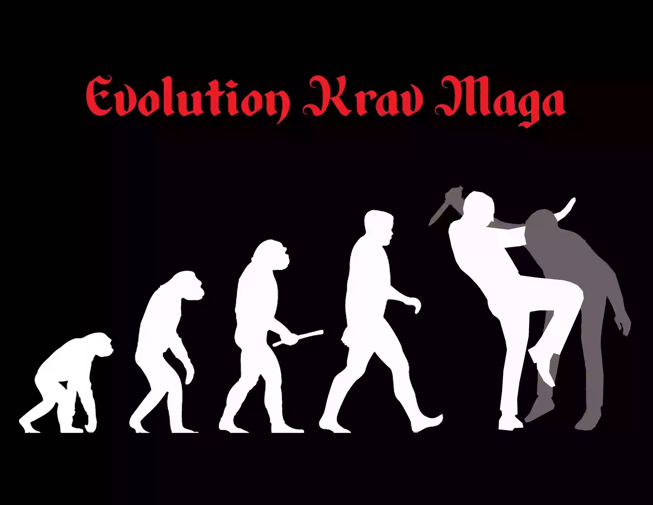 Evolution Krav Maga