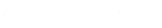 Avenue Homes LLC