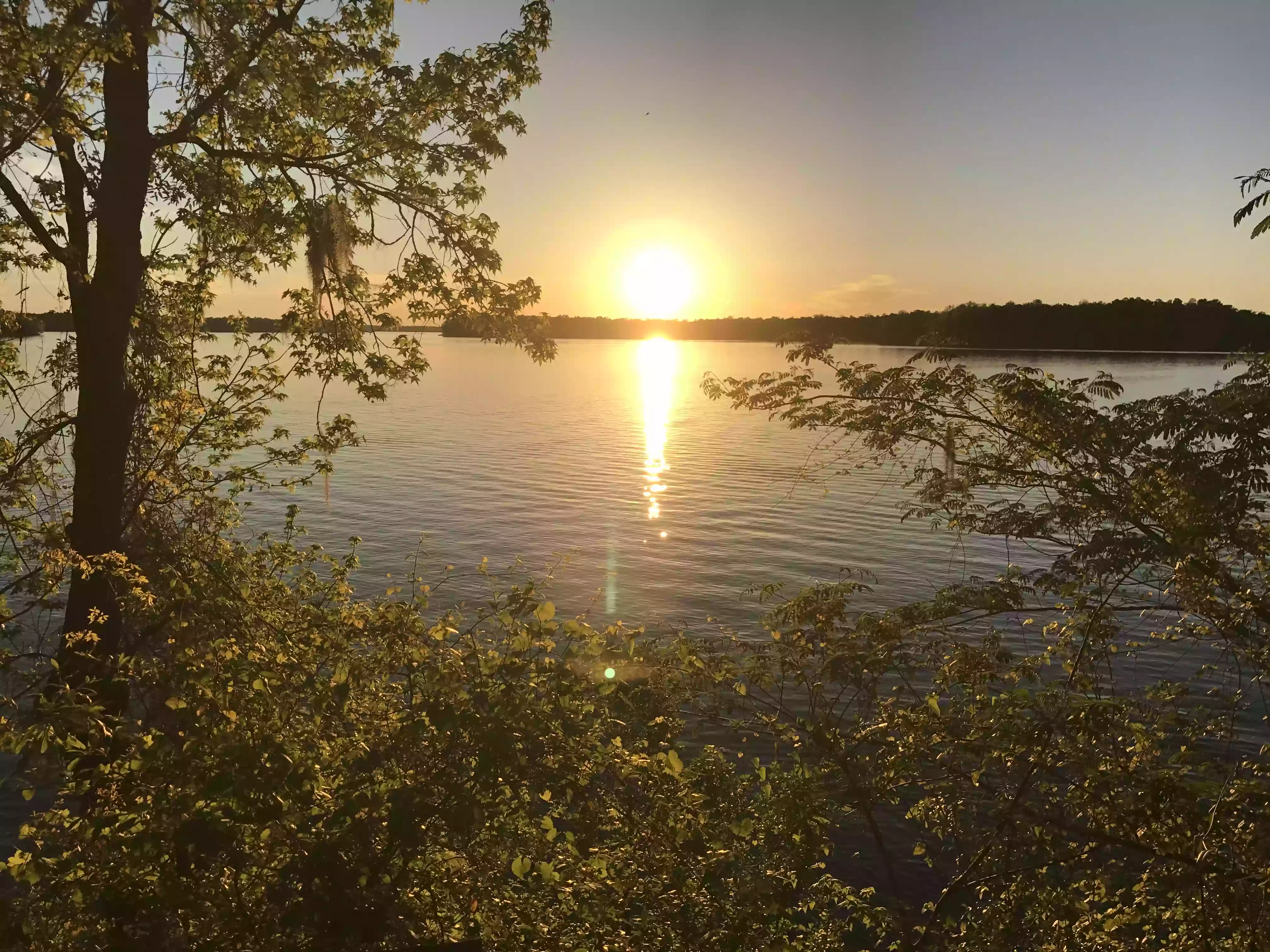 Lake Talquin State Park