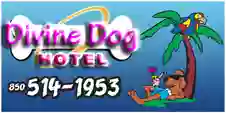 Divine Dog Hotel