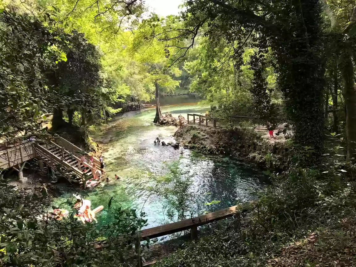 Madison Blue Spring State Park