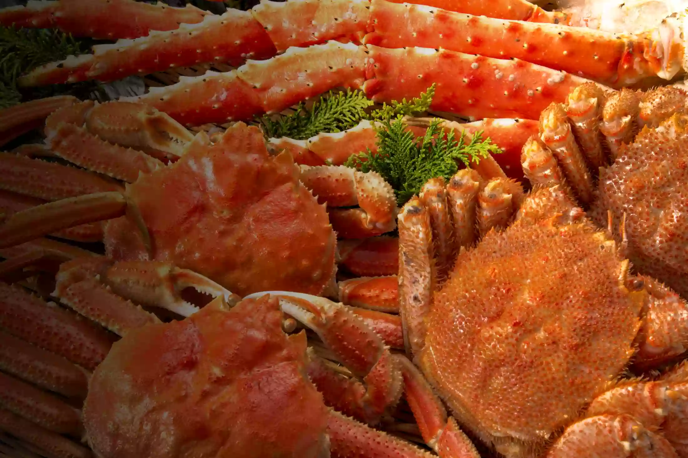 Rocking Crab Seafood And Bar