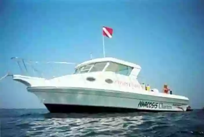 Narcosis Scuba Center