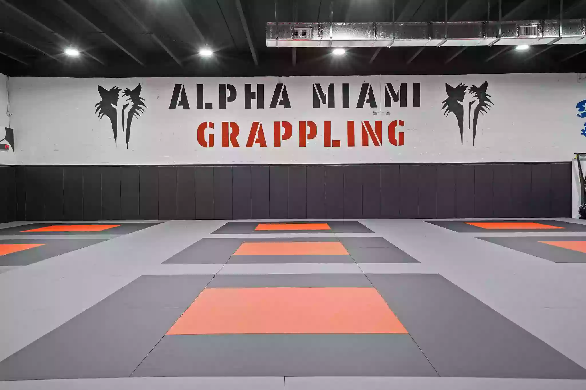 Alpha Miami Grappling Jiu Jitsu