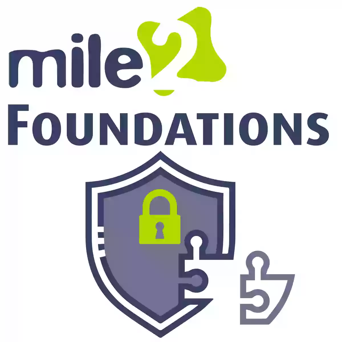 Mile2 Cyber Security Training