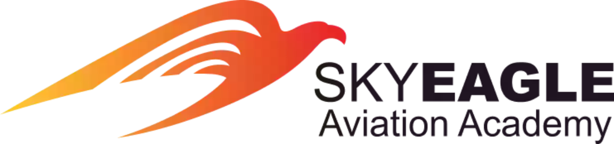 SkyEagle Aviation Academy