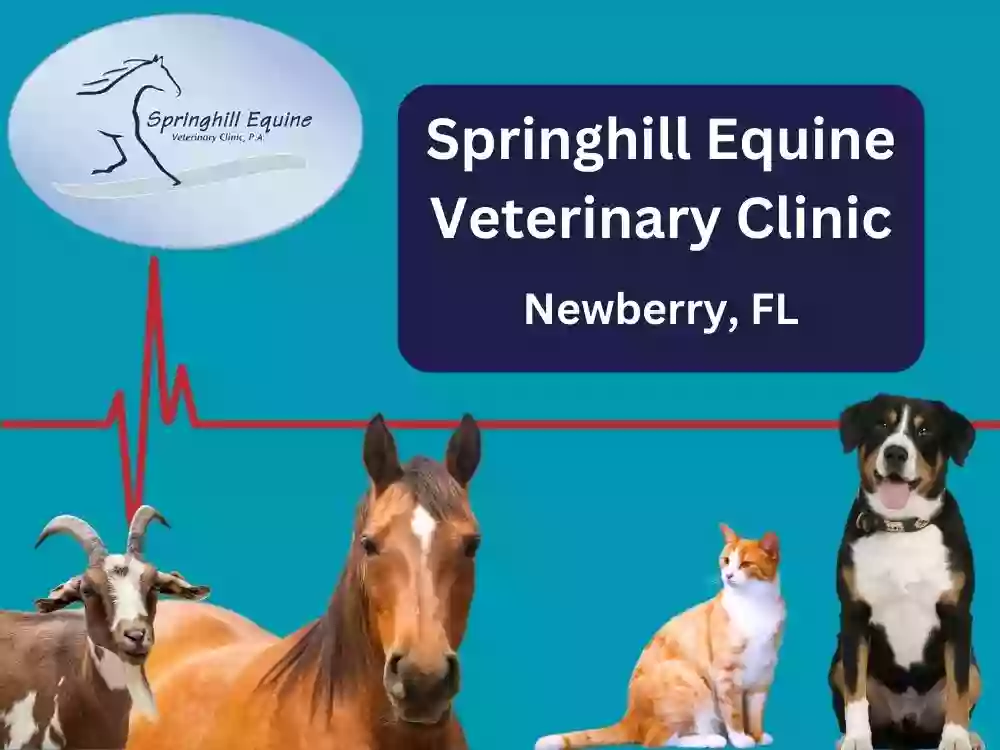 Springhill Equine