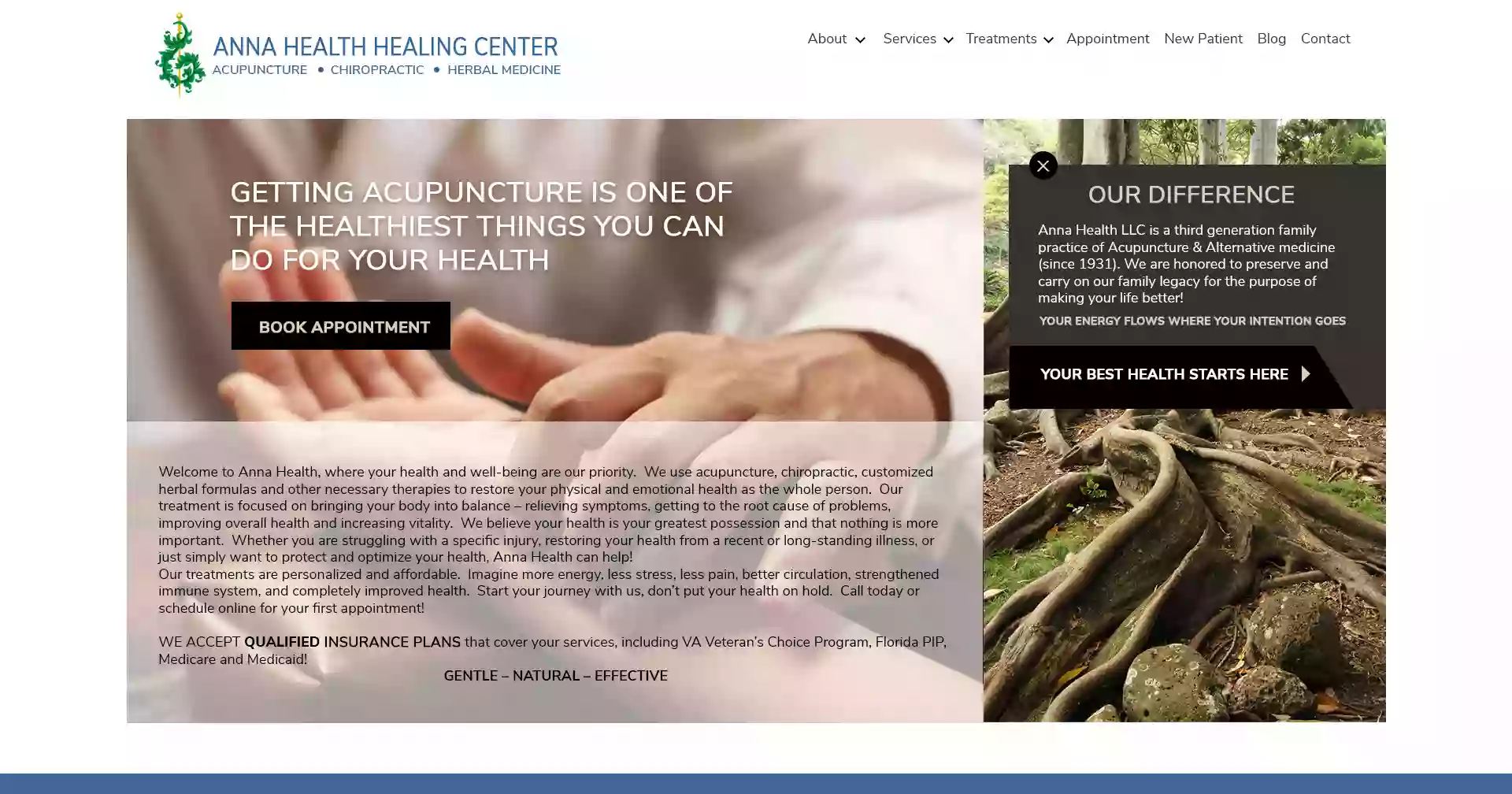 Anna Health Clinic - Acupuncture Tampa FL, Chiropractic, Herbal Medicine, Pain Management