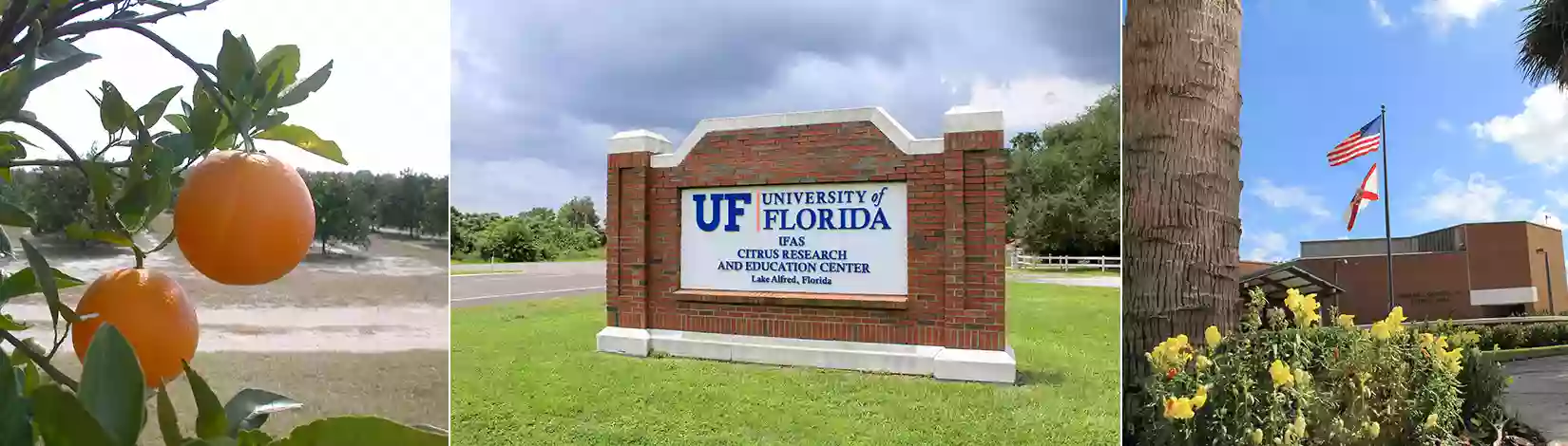 University of Florida CREC