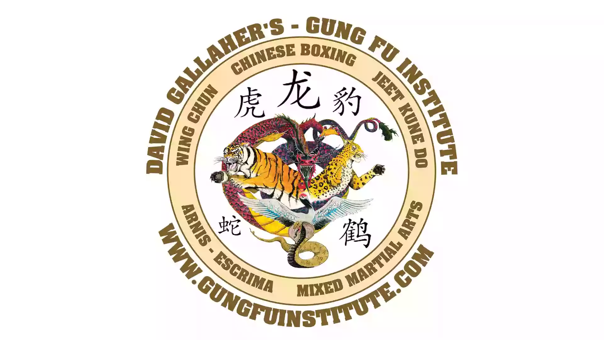 David Gallaher's Gung Fu Institute