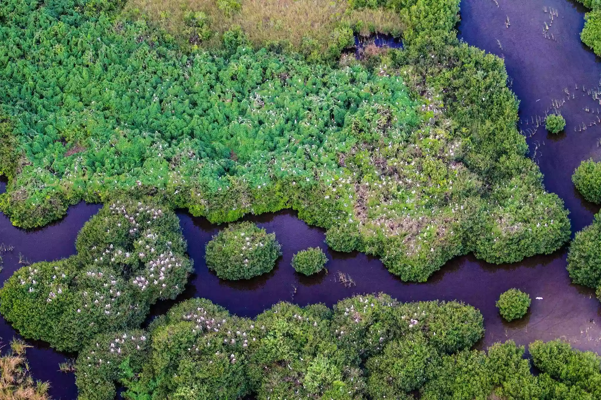 Everglades National Park Institute