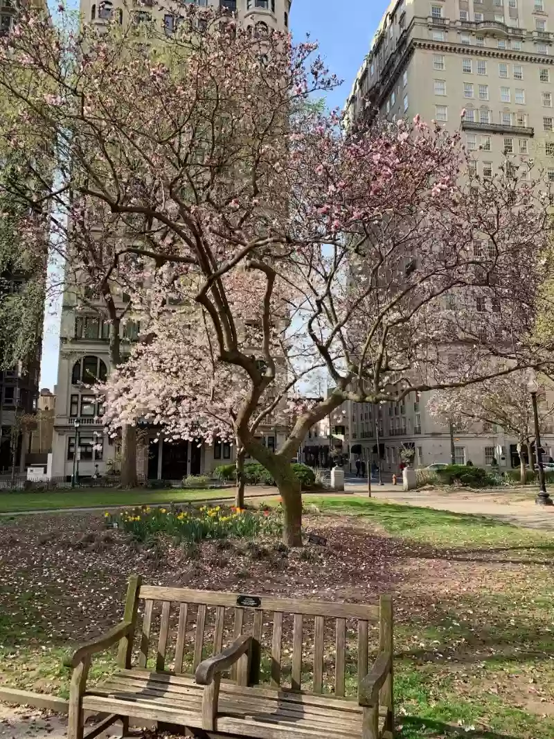 Rittenhouse Psychiatric Associates