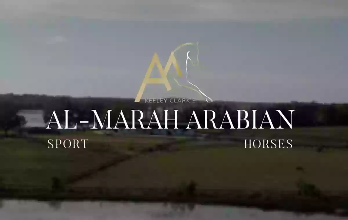 Keeley Clark's Al-Marah Arabian Sport Horses