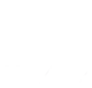 FIT 407 Windermere