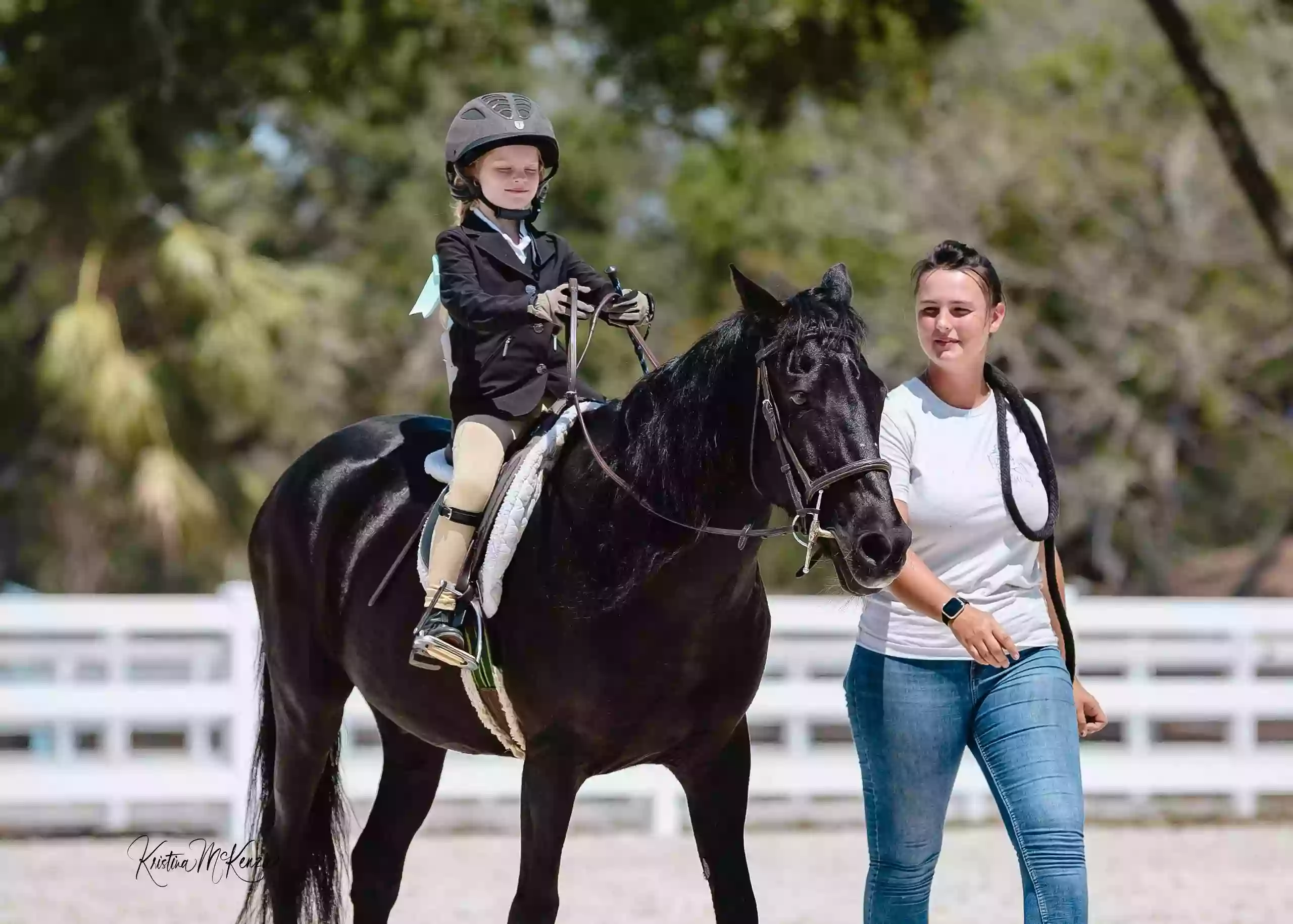 A&A Equestrian Coaches, Pinellas Horse
