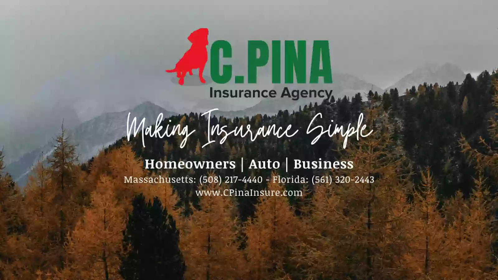 C Pina Insurance Agency