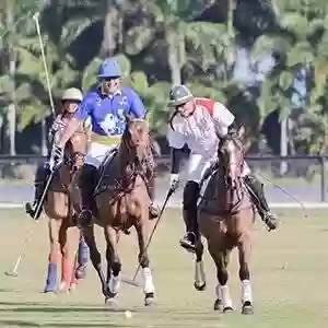 Palm City Polo