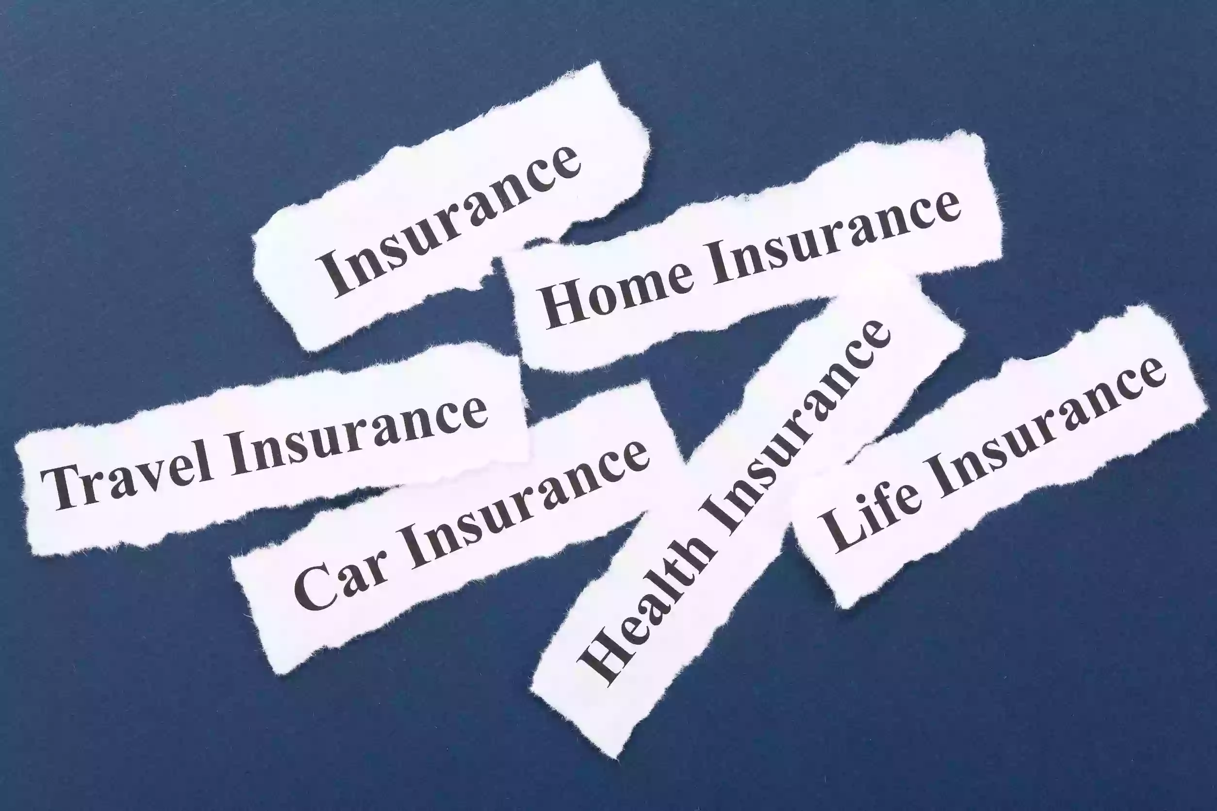 Oasis Insurance Tax Services & Auto Tags Agency