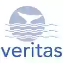 Veritas Insurance Group, Inc.