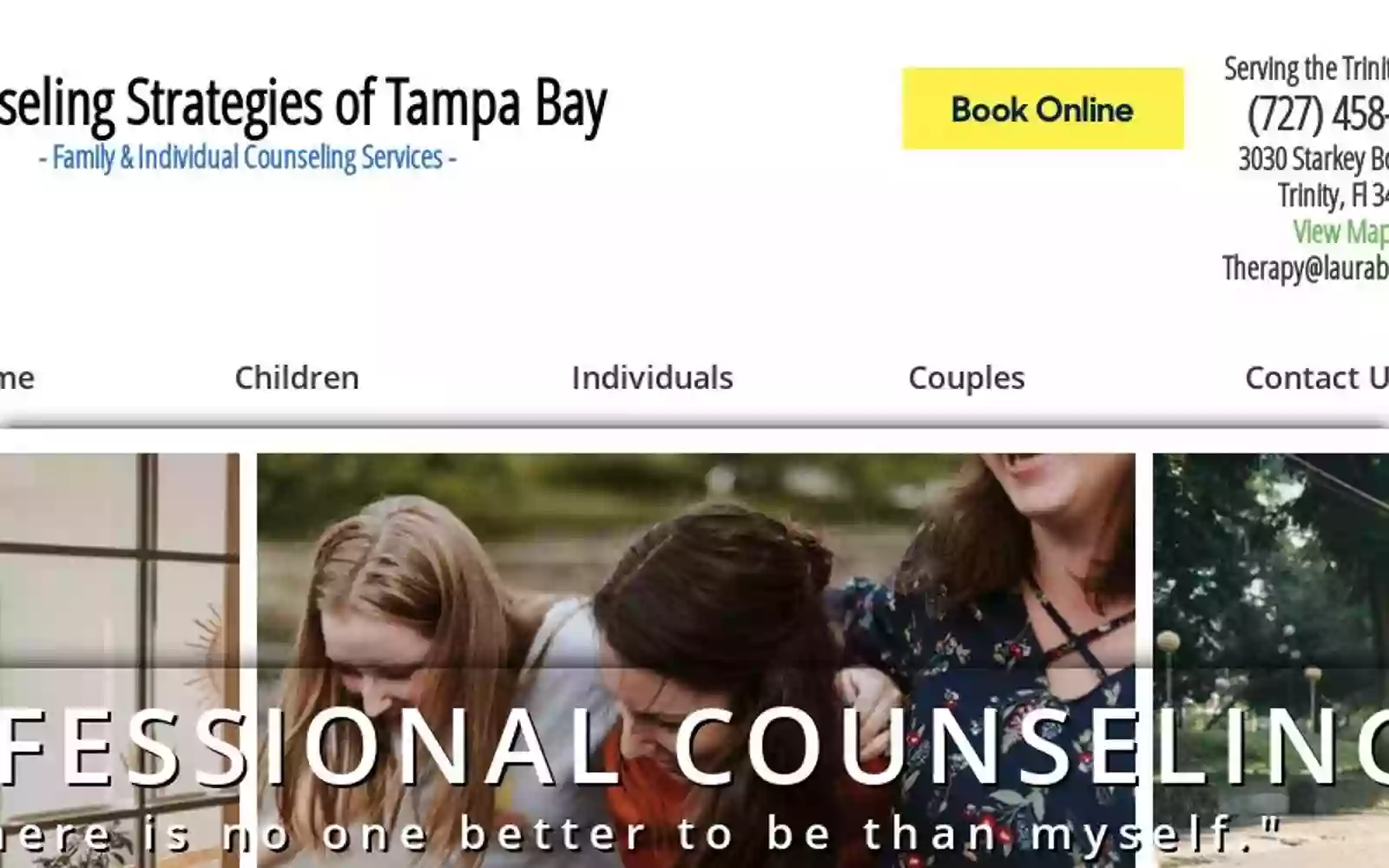 Counseling Strategies of Tampa Bay